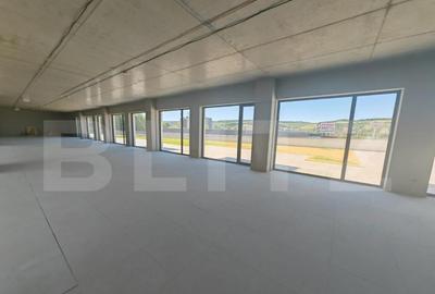 Spatiu de birouri ,1348 mp, terasa 990 mp, clasa A++, zona V - 4