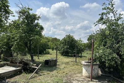 Casă cu 4 camere în Bucu - 4