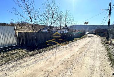 Teren Construcții intravilan de 3279 mp, în Luncani - 2