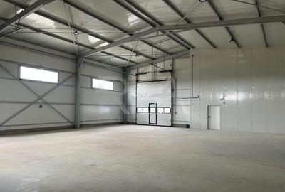 Spațiu industrial, de 400 mp, în Domnești