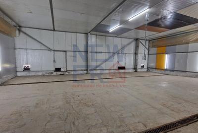 Platforma cu 2 hale de vanzare in Braila sau preluarea afacere - 3