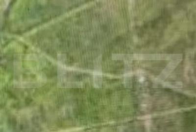 Teren 7500 mp, Schitu Duca, la DN 24 - 1