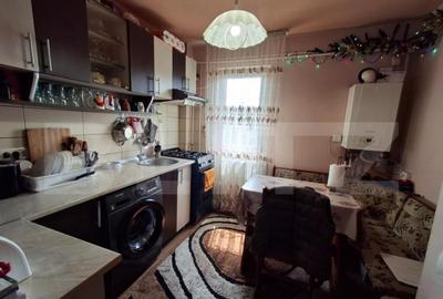 Apartament cu 2 camere semidecomandat în Brazda lui Novac
