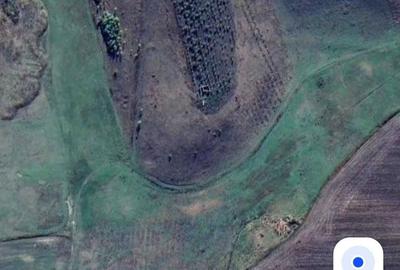 Teren de 130000 mp, în Gropnița - 7