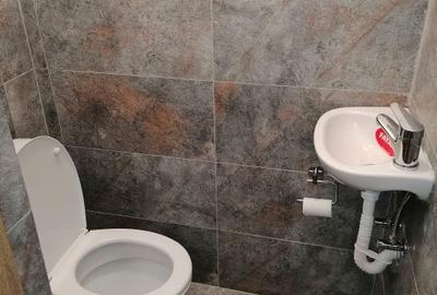 599€, centrala, Unirii - Calarasilor, 2dormitoare, centrala, pet friendly 599€, centrala, Unirii - Calarasilor, 2dormitoare, centrala, pet friendly - 7