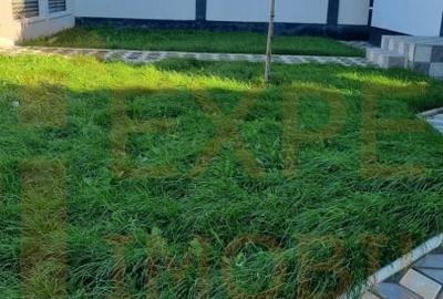 Casa unde linistea se intalneste cu spatiul — Lumina, Constanta - 16