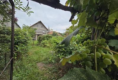 Imobil cu potential, constructie solida cu 2 apartamente,+demisol si garaj, Bras - 29