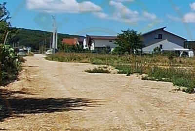 Teren 500 mp intravilan Smeura Stoenari - 4 loturi