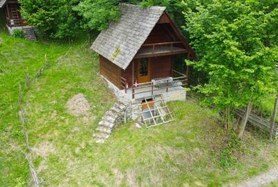 Cabana Bradulet s-a VANDUT - 2