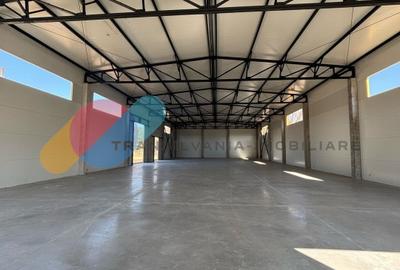 Hale de vanzare - 600 mp, open space, acces TIR, zona intrare Baciu - 2