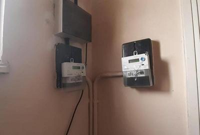 Vila Parcul Carol - Central - 14