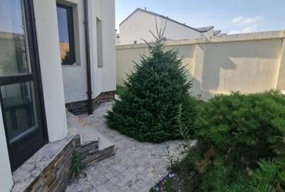 Pipera - Vila Spatioasa - centrala termica - teren intravilan 1000 mp Pipera - Vila Spatioasa - centrala termica - teren intravilan 1000 mp - 10