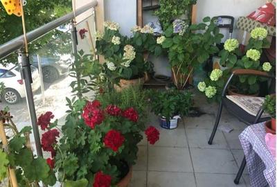 Apartament cu 3 camere semidecomandat în Băneasa - 7