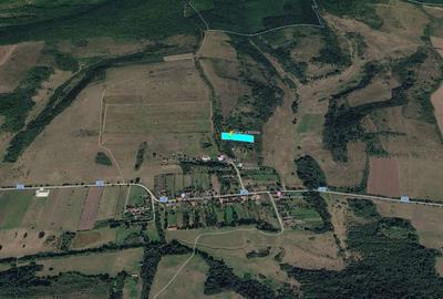 Teren de 4300 mp, în Bogda - 1