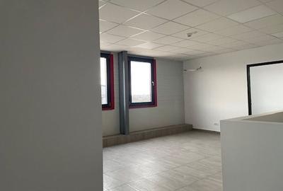 Spatiu depozitare si productie Crevedia - 4