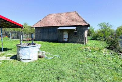 Casă cu Teren 1550 Mp în Ceanu Mic - 4