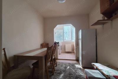 Apartament cu 2 camere decomandat în Nufărul - 5