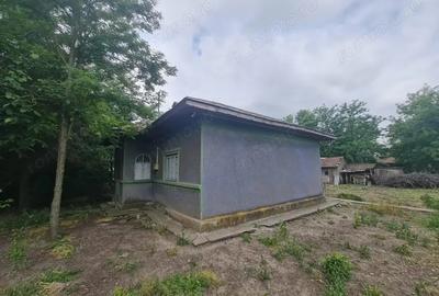 Casa, Dor Marunt, Calarasi - 5