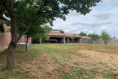 Casă cu 6 camere în Belinț - 1