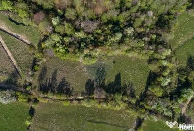 Teren de 6800 mp, în Bran