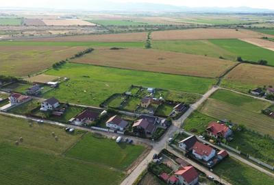 Teren 10.000 mp str. Lalelelor, Bod, Brasov pentru case - 2