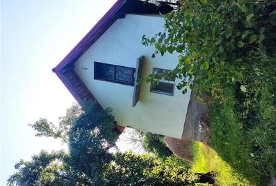 Casă cu 2 camere în Șuici - 6