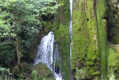 Vand afacere Cabana ANNASTASIA Vadu Crisului - 5