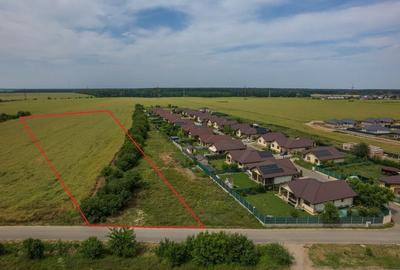 Teren intravilan, Balotești, Strada Cameliei 36, 10.000 mp - 2