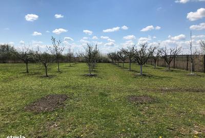 Teren de 3000 mp, în Central - 7