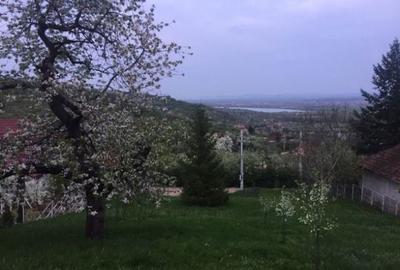 Teren de 1765 mp, în Podgoria - 3
