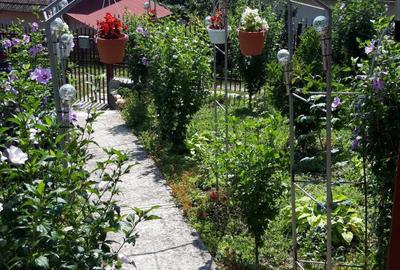 Vand casa la 34km de Bistrita. - 5