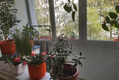 Apartament cu 3 camere decomandat în Giurgiului - 2