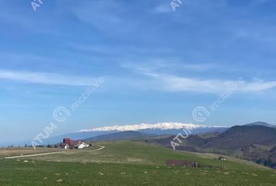 Teren de 3000 mp, în Paltin - 7