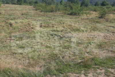 Teren extravilan 3300 mp, Car?i?oara- Set - 16