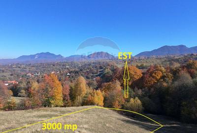 Teren valoros 2,000mp BRAN/Utilitati/Pensiune/Priveliste panoramica - 7