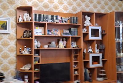 Vedere Dunare - Apartament 3 camere Calarasilor, mobilat uti - 1