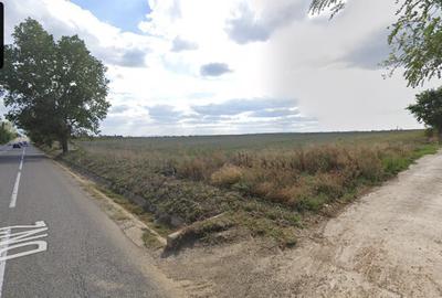 Teren extravilan 88.880 MP la E85! - 3