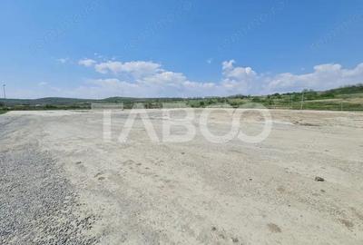 Teren de 40000 mp, în Teiu - 7