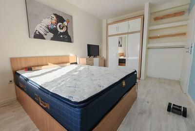 Apartament cu 2 camere semidecomandat, mobilat în Valea Lupului - 6