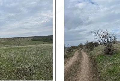 Teren extravilan Perieni, cota parte 6/16 , ID: R2822105 - 2