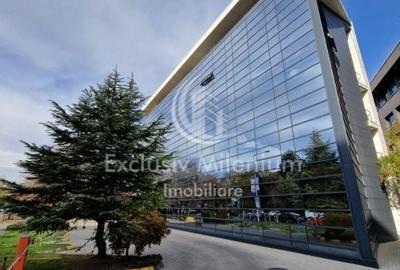 Birou, de 450 mp, în Băneasa - 1