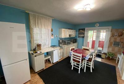 Casa individuala 5 camere, 870 mp teren, zona Centru - Alba Iulia - 3