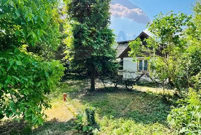 Casa cu 4 camere de vanzare pe str. Campu Negru, Sighet. Casa cu 4 camere de vanzare pe str. Campu Negru, Sighet. - 3