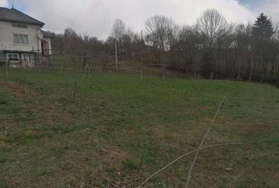 Casă cu 3 camere în Moisei - 3