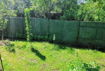 Casa, singur in curte in Bod, zona Centru - 4