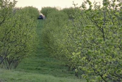 Teren de 10000 mp, în Dorobanți - 3