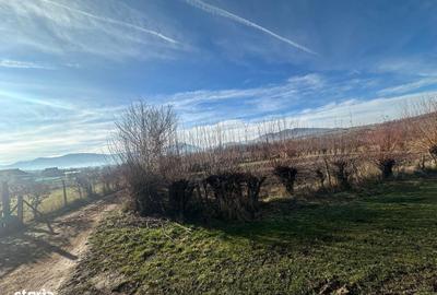 Spațiu comercial, în Rășinari - 2