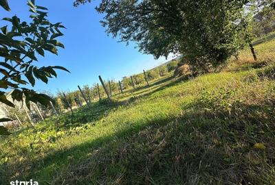 Teren de 1100 mp, în Bârnova - 4