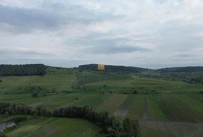 Teren de 3953 mp, în Fălticeni - 5