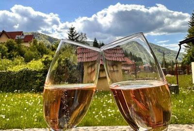 Casă cu 5 camere în Poiana - 1